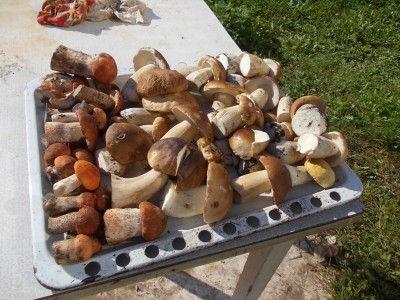DSCN3010.JPG