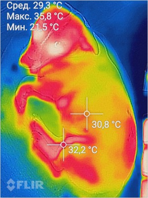 flir_20170323T154353.jpg