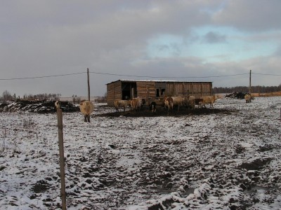 12 мая 2010.JPG