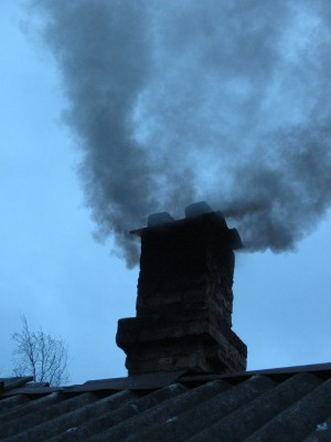 паравос.JPG