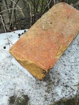 2019010111281700.jpg