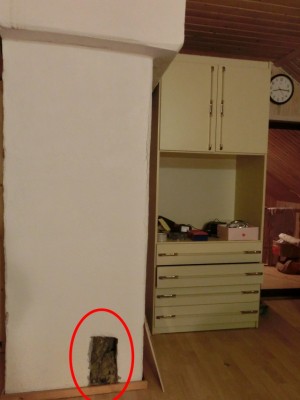 444.jpg