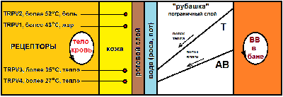 47д погранслой.png