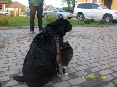  2011 017.jpg