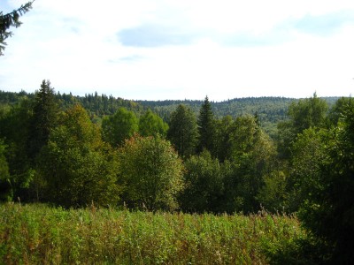 Урал, тайга, 2.jpg