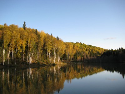 Урал, тайга, 3.jpg