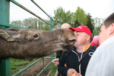 Сумароковская Лосинная Ферма (9).JPG