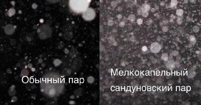 .jpg