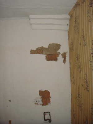 DSC05122.JPG