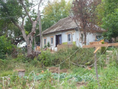 DSCF5938.jpg