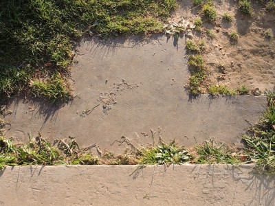 DSCN1432.JPG