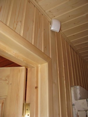 IMG1.jpg