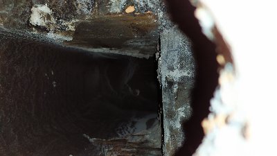 IMG_20200426_174157.jpg