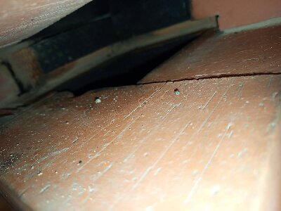 IMG_20260607_192817.jpg