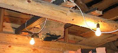 IMG_2206a.jpg