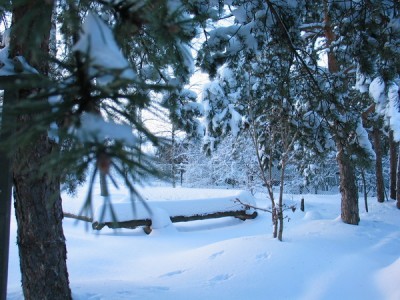 IMG_3158_новый размер.JPG