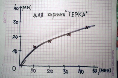 IMG_4540мин.jpg