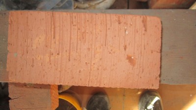IMG_6212.jpg