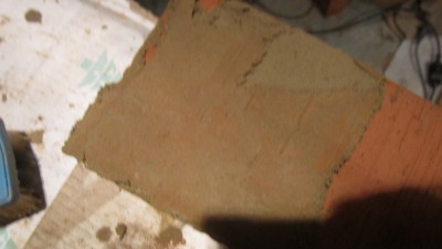 IMG_6566.jpg