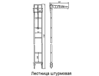 model-lsh-768x587.jpg