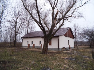 pavilyon-4.jpg