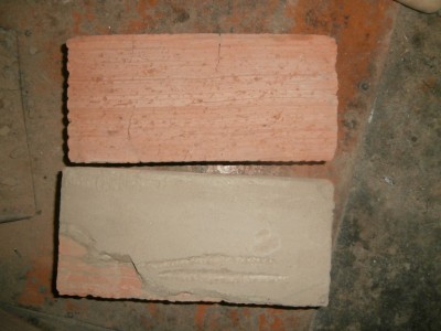 PC110510.jpg