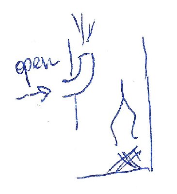 Scan.jpg