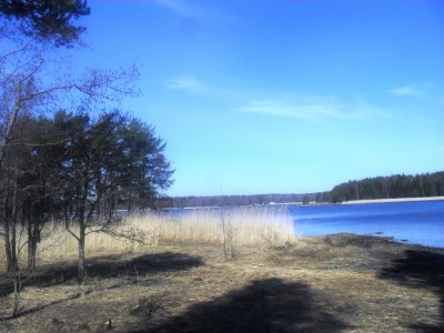 SDC12257.JPG